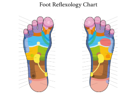 Charte réflexologie plantaire